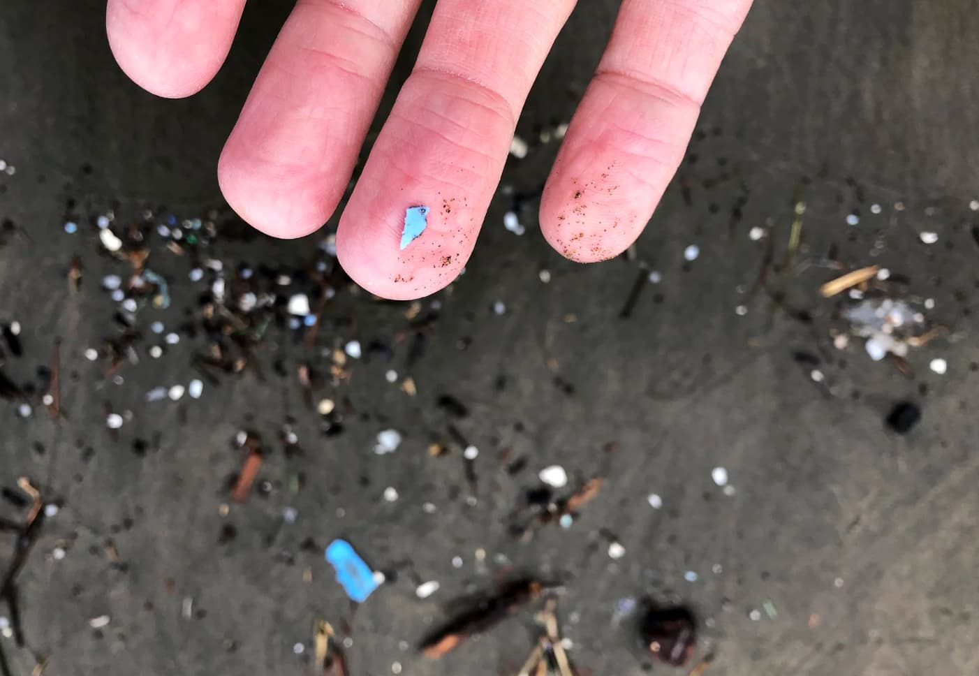 microplastics in our blood